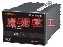 溫度表、數(shù)字顯示儀、濕度表