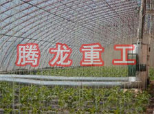 大棚花卉供暖設(shè)備、大棚卉采暖設(shè)備、大棚花卉取暖設(shè)備