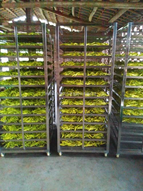 黃花菜烘干機(jī)、黃花菜烘干設(shè)備、黃花菜干燥機(jī)、黃花菜干燥設(shè)備、